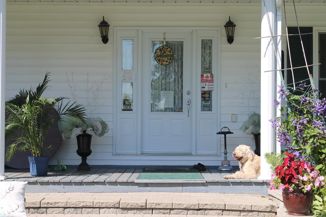 Terrace Green B&B Winchester Exterior photo